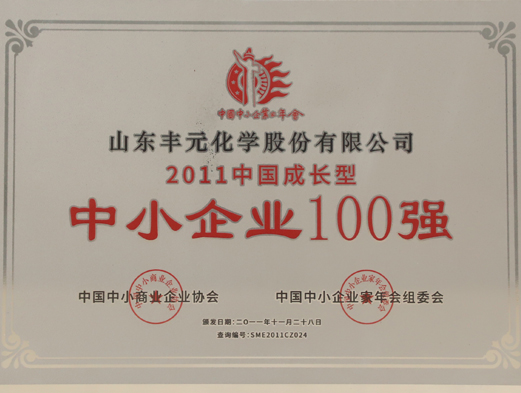 中國成長(cháng)型中小企業(yè)100強