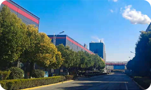 山東棗莊 10萬(wàn)噸草酸項目