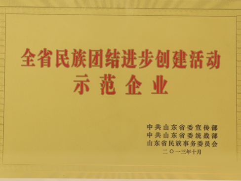 全省民族團結進(jìn)步創(chuàng  )建活動(dòng)示范企業(yè)